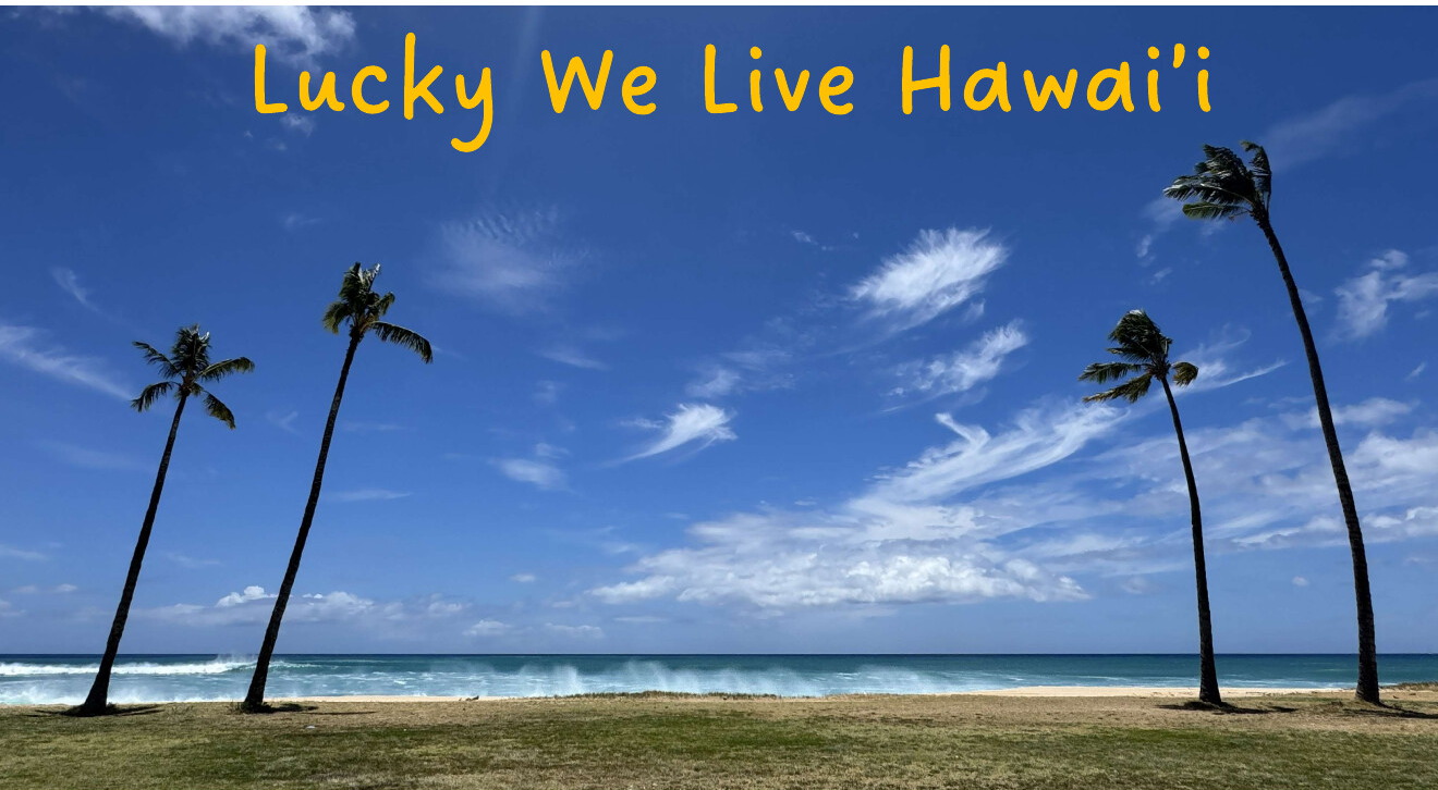 Lucky We Live Hawaiʻi over palm trees and a beach